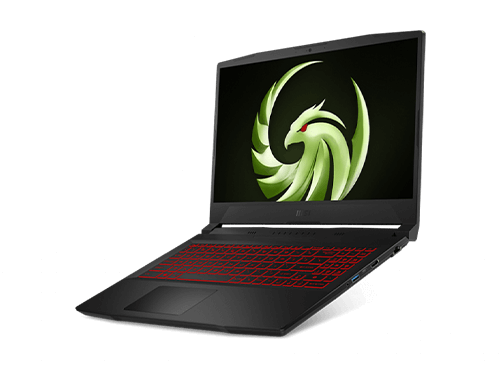 MSI Bravo 15 B5DD-219XRU-wpro